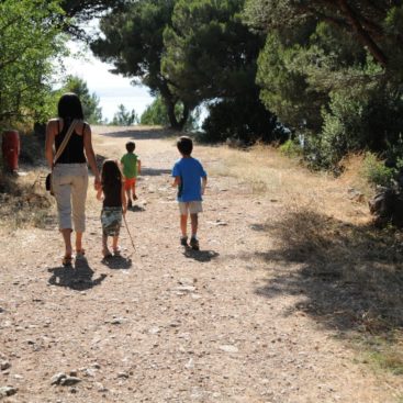 Forêt des Pierres Blanches