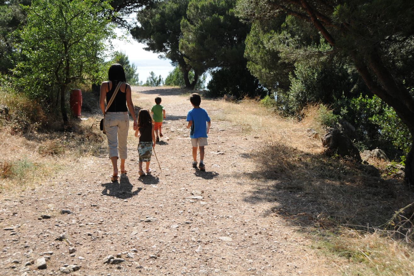 Forêt des Pierres Blanches