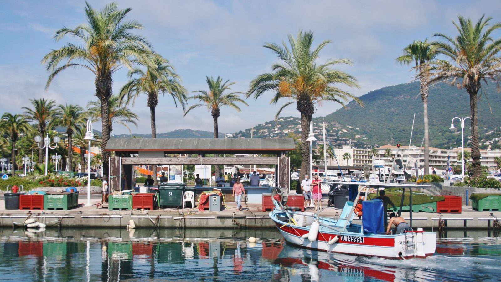 Marchés aux poissons