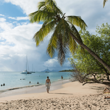 Plages des Caraïbes – Sud de l’île