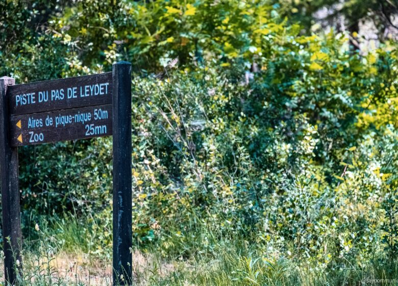 Téléphérique Mont Faron