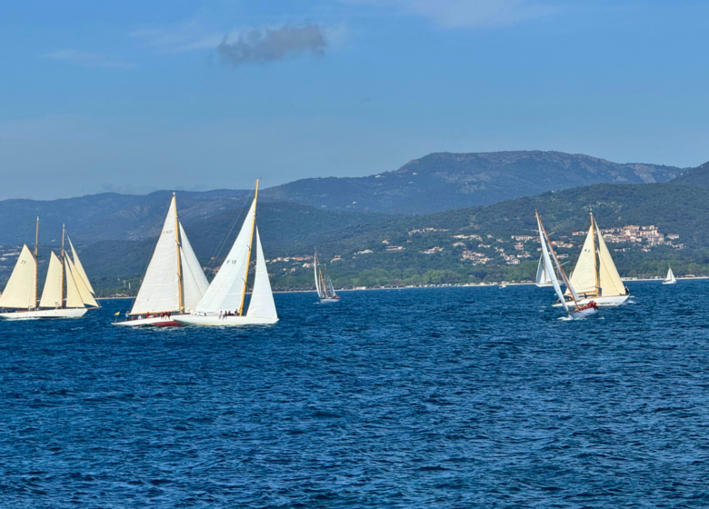Port de Saint-Tropez_Saint-Tropez