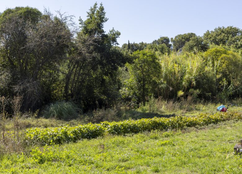 Boutique « La Seyne vous sourit »_La Seyne-sur-Mer