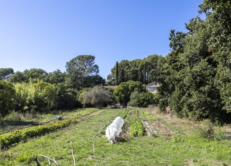 Boutique « La Seyne vous sourit »_La Seyne-sur-Mer