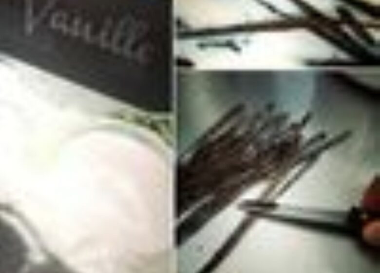 Le Palais des glaces_Le Lavandou