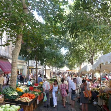 Daily Provencal Market