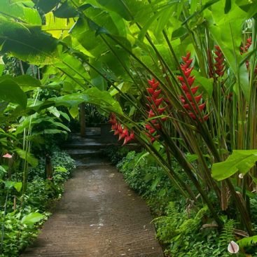 Balata-botanical Garden