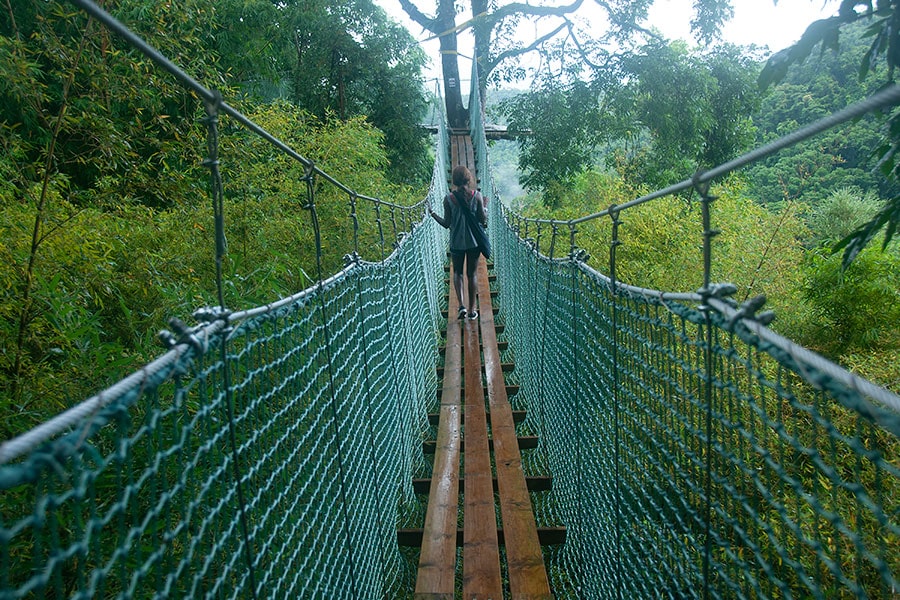 Balata-botanical Garden
