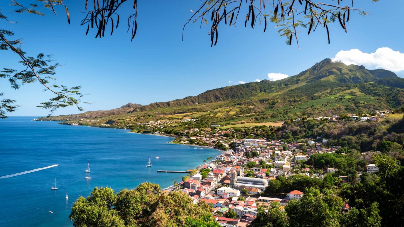 Mount Pelée & its Hiking Paths